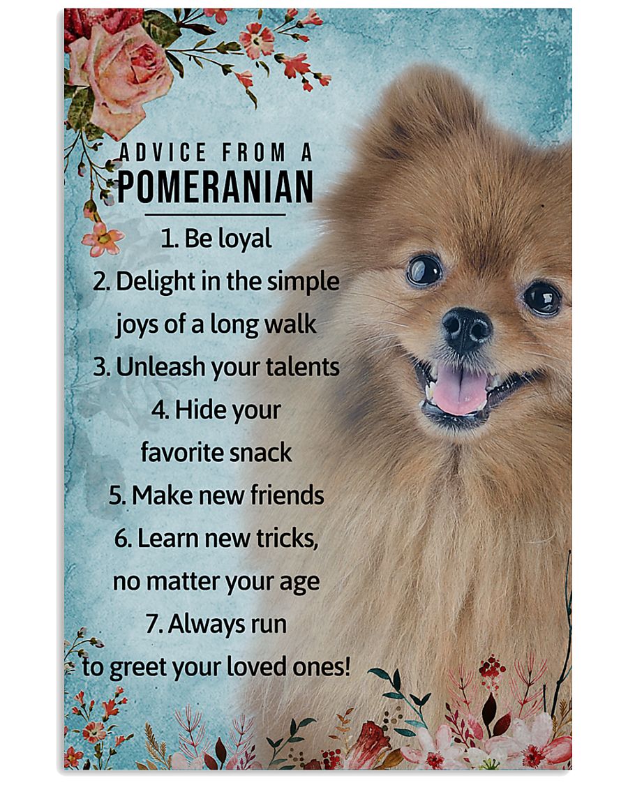 Advice From A Pomeranian 11x17 Poster