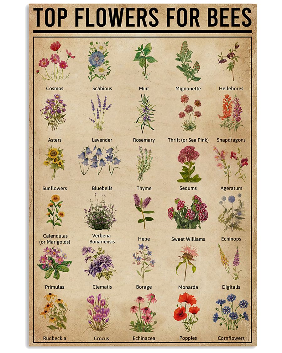 Top Flowers For Bees 11x17 Poster