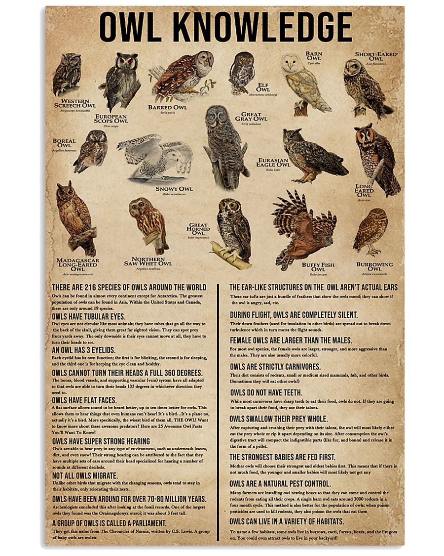 Knowledge Owls 11x17 Poster