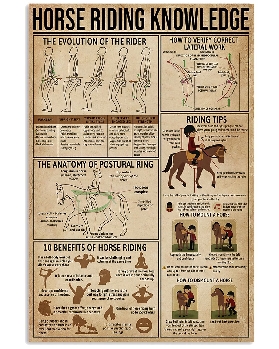 Horse Riding Knowledge 11x17 Poster