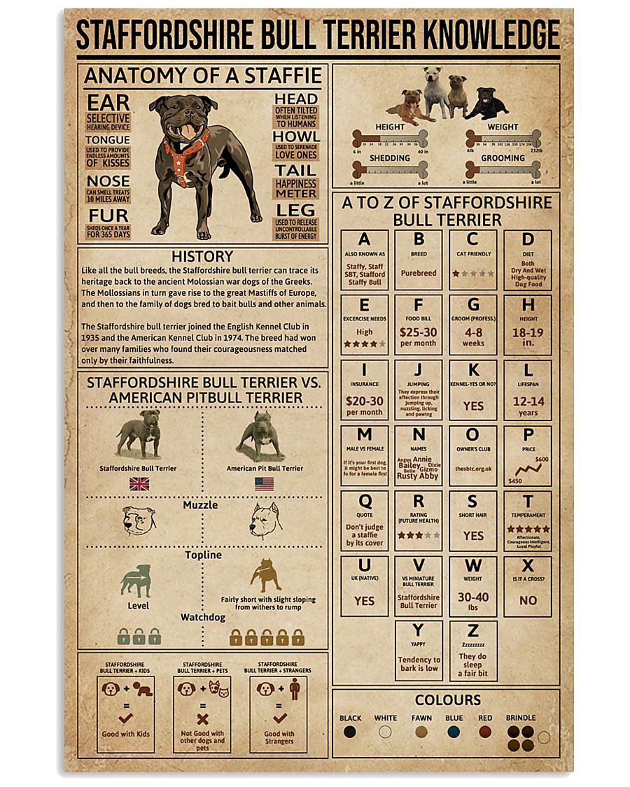 Staffordshire Bull Terrier Knowledge 11x17 Poster