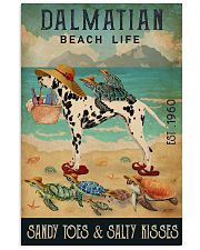 Turtle Beach Life Dalmatian 11x17 Poster front