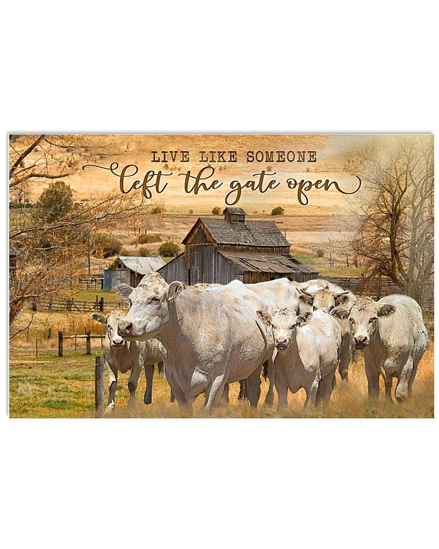Charolais cattle Let The Gate Open 17x11 Poster