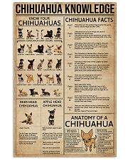 Chihuahua Knowledge Dogs 11x17 Poster front
