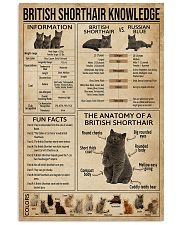 British Shorthair Knowledge 11x17 Poster front