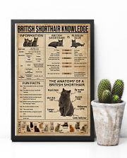 British Shorthair Knowledge 11x17 Poster lifestyle-poster-8