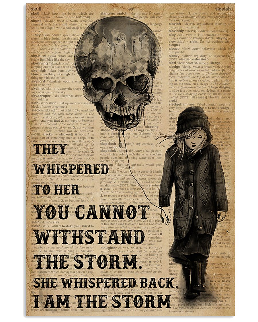 I Am The Storm Balloon Skull 16x24 Poster