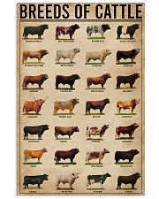 Breeds Of Cattle 16x24 Poster front
