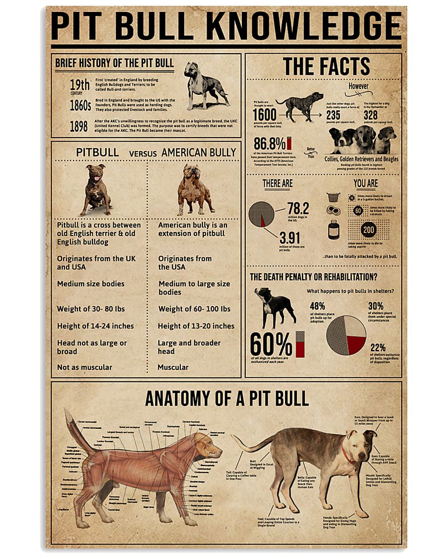 Pit Bull Knowledge 11x17 Poster