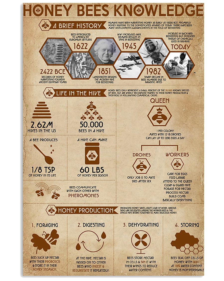 Honey Bees Knowledge Bee 11x17 Poster