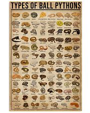 Types Of Ball Pythons 11x17 Poster front