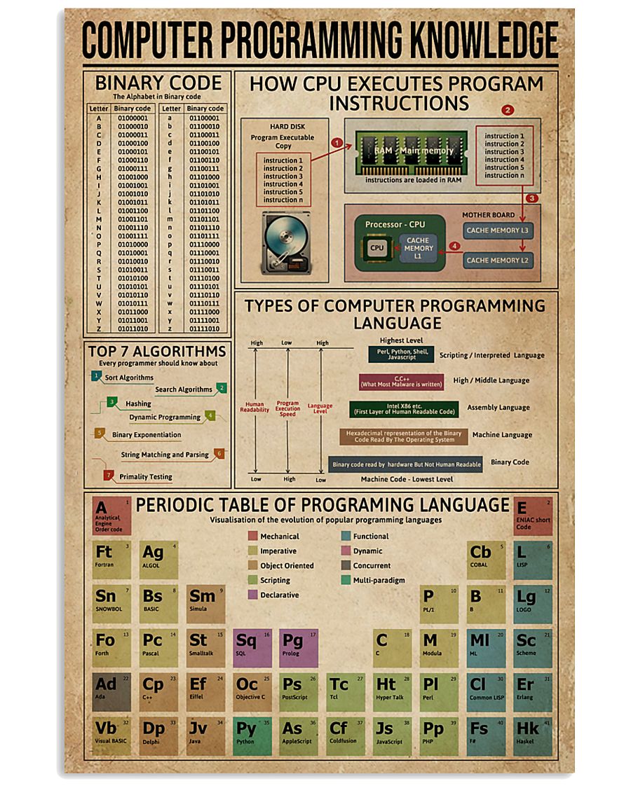 Computer Programming 11x17 Poster