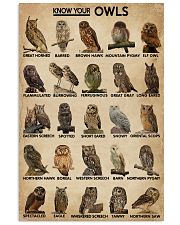 Know Your Owls 16x24 Poster front