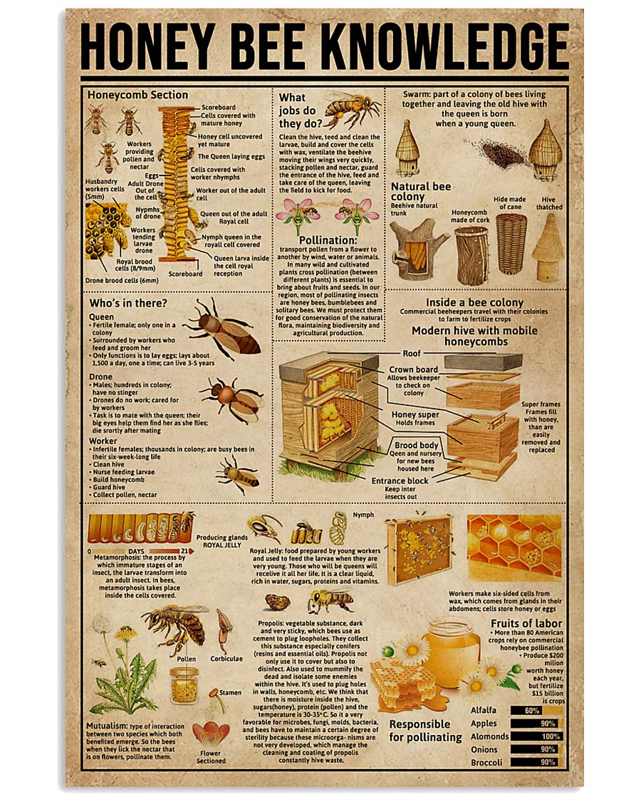 Honey Bee Knowledge Society Life 11x17 Poster
