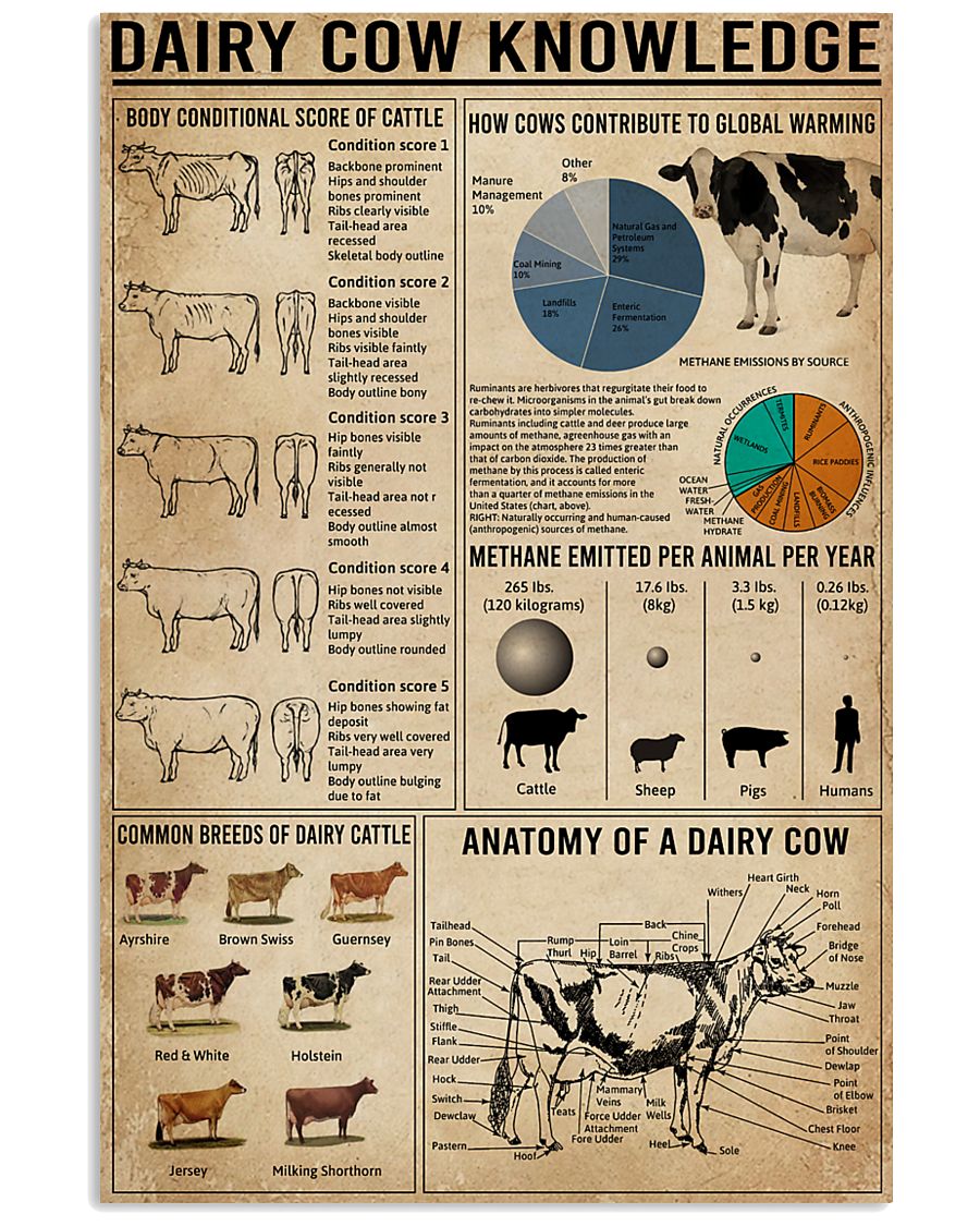 Dairy Cow Knowledge Farm 11x17 Poster