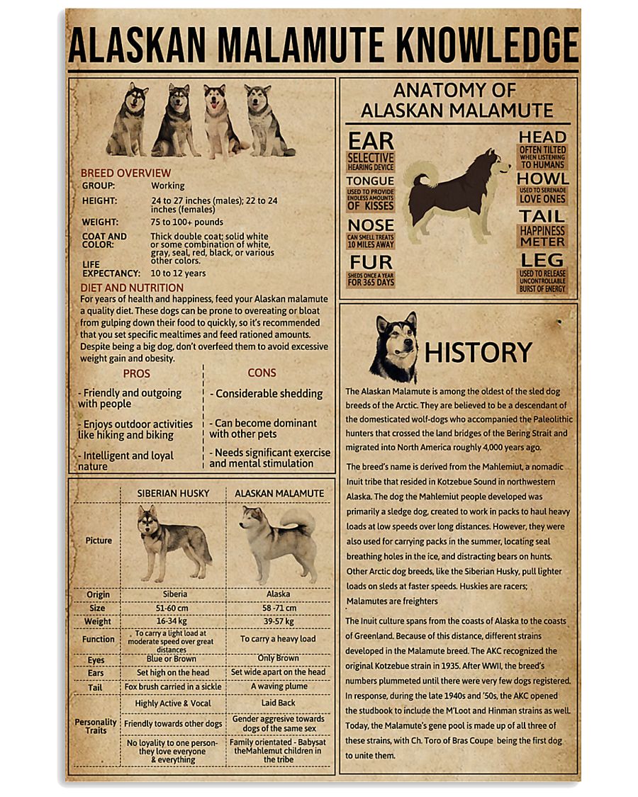Alaskan Malamute Knowledge 11x17 Poster