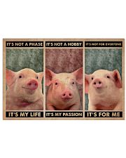 Pig It's Not A Phase 24x16 Poster front
