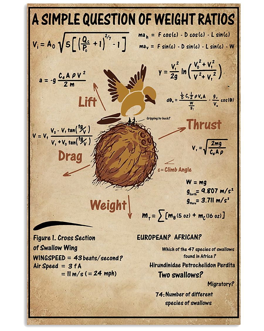 Simple Question Of Weight Ratios 11x17 Poster