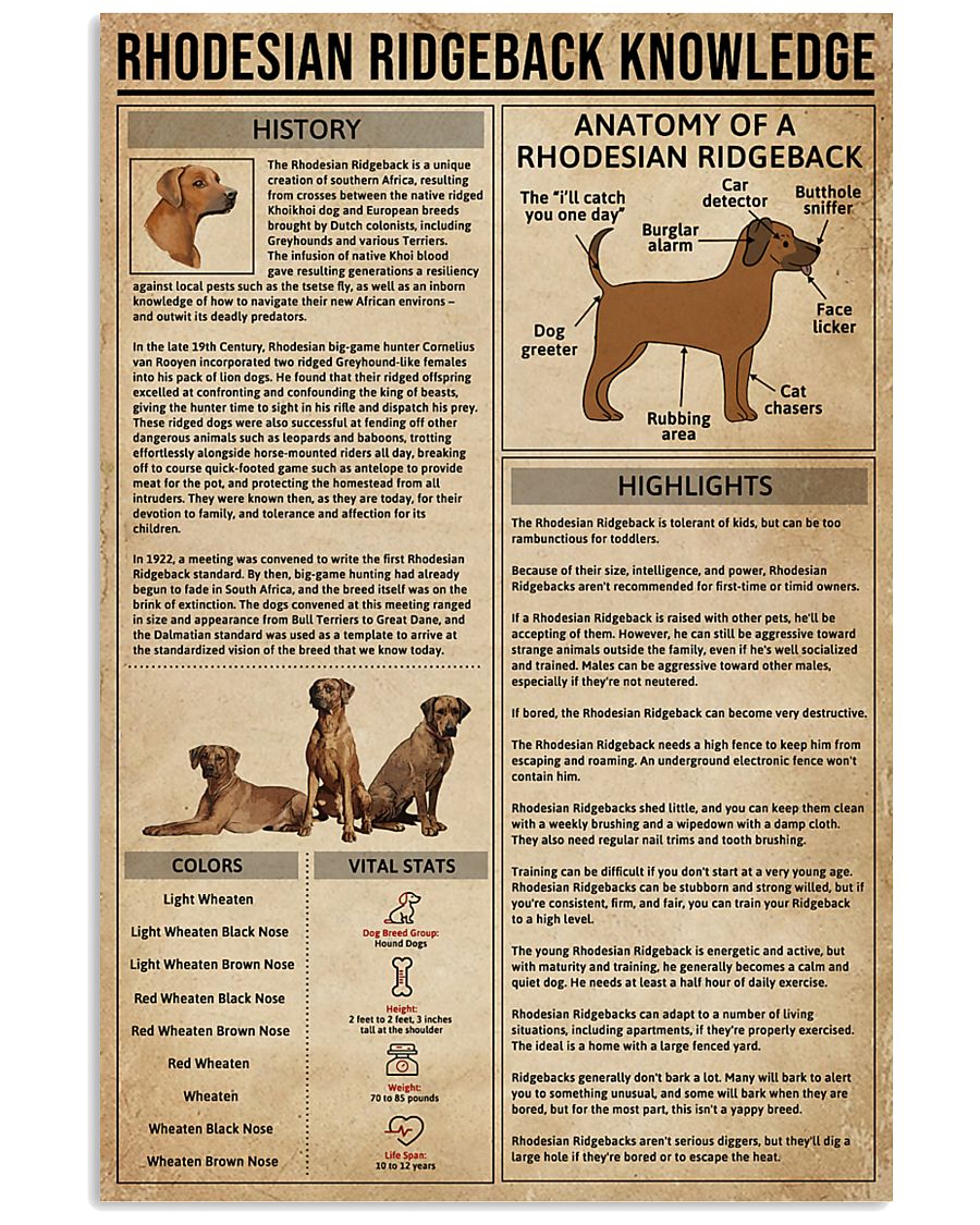 Rhodesian Ridgeback Knowledge Dog 11x17 Poster