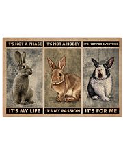 Rabbit It's Not A Phase 24x16 Poster front