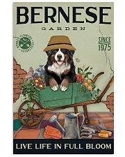 Bernese Mountain Dog Garden 11x17 Poster front