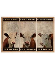 Hereford Cattle It's Not A Phase 24x16 Poster front