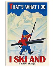 That's What I Do Skiing 16x24 Poster front