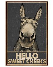 Gray Hello Sweet Cheeks Donkey 16x24 Poster front