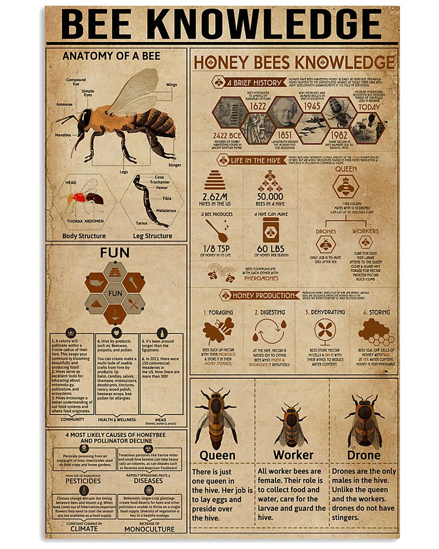 Bee Knowledge 16x24 Poster