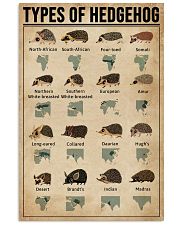 Types Of Hedgehog 11x17 Poster front