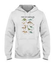 Types Of Dinosaurs Hooded Sweatshirt tile