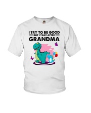 I Try To Be But I Take After My Grandma Youth T-Shirt tile