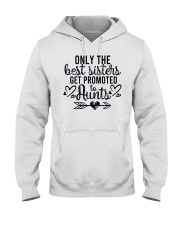 Only The Best Sisters Get Promoted To Aunts Hooded Sweatshirt tile