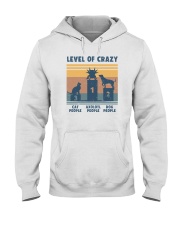 Level Of Crazy Axolotl Hooded Sweatshirt tile