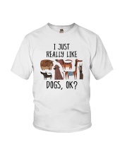 I Just Really Like Dogs, Ok Youth T-Shirt tile