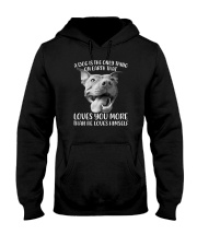 A Dog Is The Only Thing Pitbull Hooded Sweatshirt tile