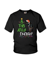 Is This Jolly Enough Cat Christmas Youth T-Shirt tile