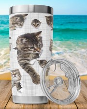 Cats 20oz Tumbler aos-20oz-tumbler-lifestyle-front-80