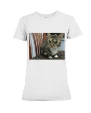Ferra The Cat Sitting On a Chair Premium Fit Ladies Tee thumbnail