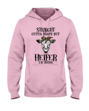 cows12 Hooded Sweatshirt front
