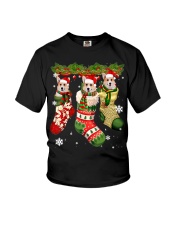 Corgi Xmas 12 Youth T-Shirt tile