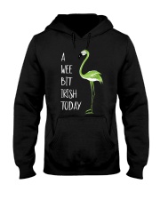 A Wee Bit Irish Today Hooded Sweatshirt tile
