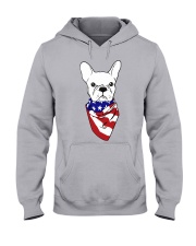 French American Hooded Sweatshirt thumbnail
