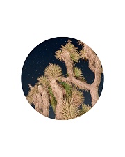 Joshua Tree National Park Circle Cutting Board thumbnail