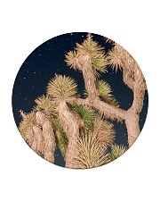 Joshua Tree National Park Circle Coaster thumbnail