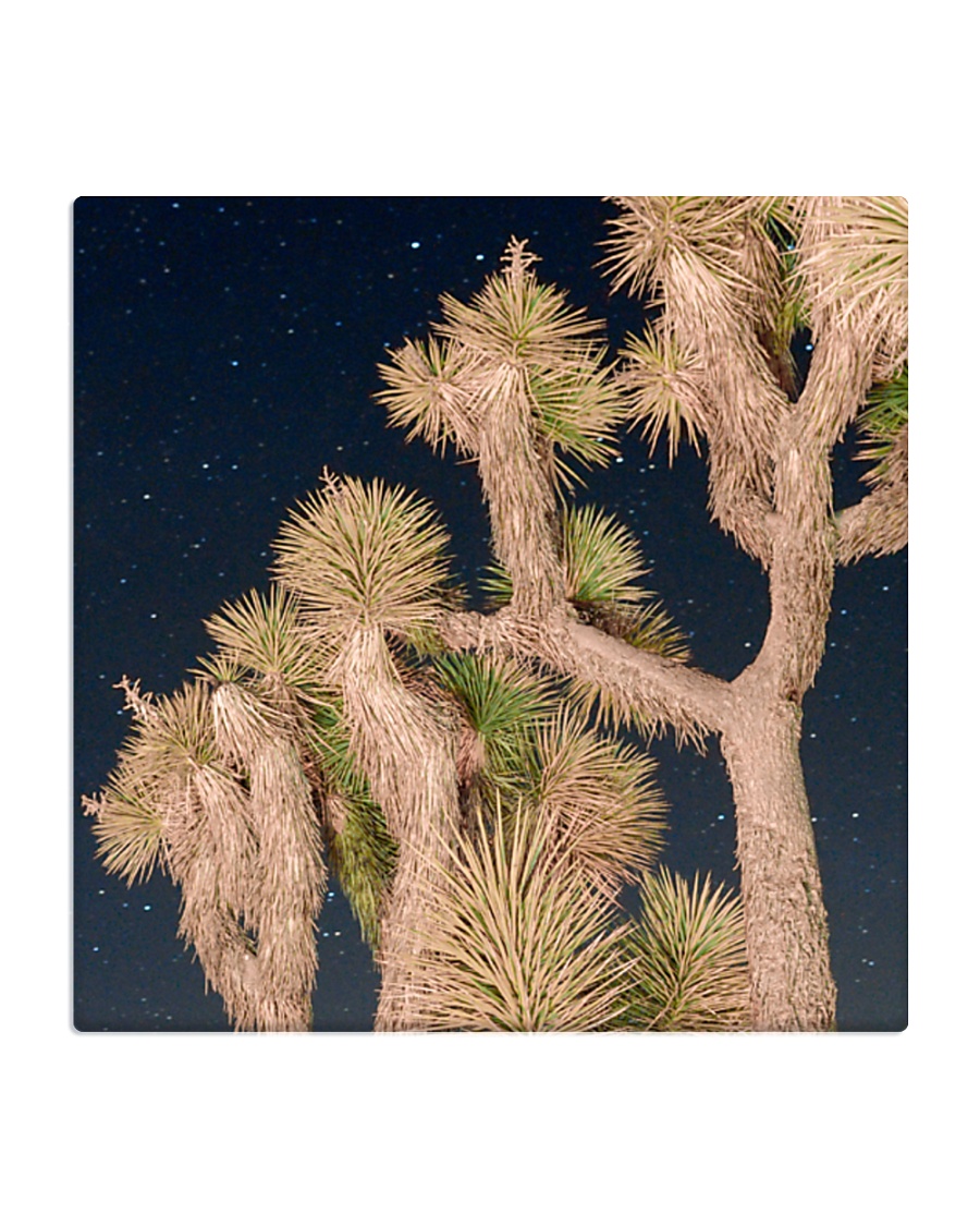 Joshua Tree National Park Square Coaster