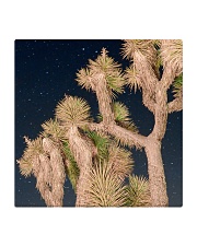 Joshua Tree National Park Square Coaster front