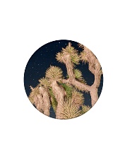 Joshua Tree National Park Circle Magnet thumbnail