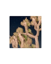 Joshua Tree National Park Square Magnet thumbnail