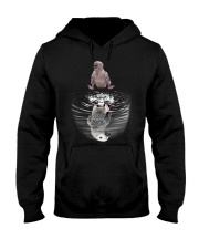 African Grey baby Dream Hooded Sweatshirt thumbnail